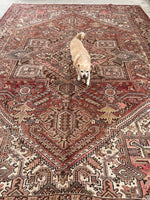 9'3 x 12'9 Vintage Heriz rug #2149ML / 9x13 Vintage Rug - Blue Parakeet Rugs