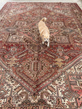 9'3 x 12'9 Vintage Heriz rug #2149ML / 9x13 Vintage Rug - Blue Parakeet Rugs