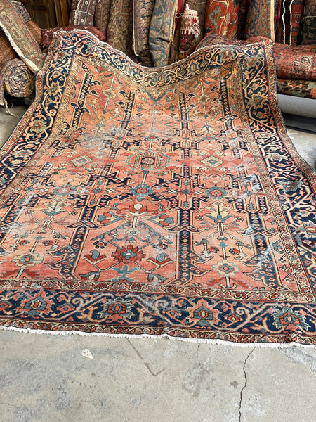 Blue Parakeet Rugs Antique Persian Scatter Rug No. 2491