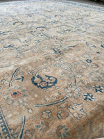 10'4 x 13'4 Antique muted Mashhad rug #2150 / 10x13 Vintage Rug - Blue Parakeet Rugs
