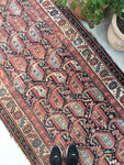 4x10 antique Kurdish rug - Blue Parakeet Rugs