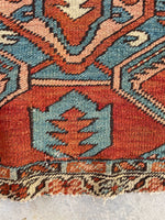 [vintage rugs] - Blue Parakeet Rugs