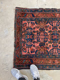 3' x 6'3 Coral Persian Malayer rug #2313ML - Blue Parakeet Rugs