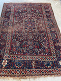 5'9 x 8' Antique Persian Shiraz Rug #1221-A - Blue Parakeet Rugs