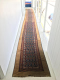 2'6 x 23'9 Camel Hair Antique Serab Rug / Long skinny Runner (#684) - Blue Parakeet Rugs