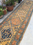 3'9 x 13'3 NW Persian Runner - Blue Parakeet Rugs