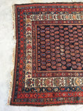 5' x 6'7 antique Persian Malayer / Small Vintage Rug / 5x7 vintage Rug (#1158ML) - Blue Parakeet Rugs