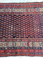 5' x 6'7 antique Persian Malayer / Small Vintage Rug / 5x7 vintage Rug (#1158ML) - Blue Parakeet Rugs
