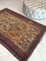 [vintage rugs] - Blue Parakeet Rugs