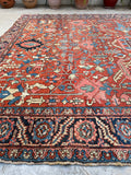 [vintage rugs] - Blue Parakeet Rugs