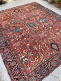 [vintage rugs] - Blue Parakeet Rugs
