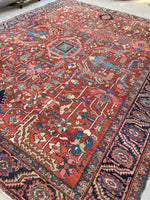 [vintage rugs] - Blue Parakeet Rugs