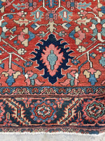 [vintage rugs] - Blue Parakeet Rugs