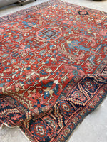 [vintage rugs] - Blue Parakeet Rugs