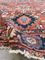[vintage rugs] - Blue Parakeet Rugs
