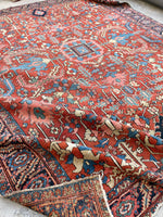 [vintage rugs] - Blue Parakeet Rugs