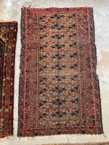 2'9 x 4'8 Antique Nomadic Baluch rug #2337 - Blue Parakeet Rugs