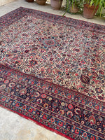 9 x 10 Antique Ivory ground Mashhad rug #1984 / 9x10 Vintage rug - Blue Parakeet Rugs