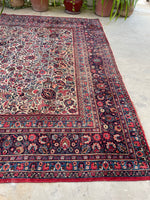 9 x 10 Antique Ivory ground Mashhad rug #1984 / 9x10 Vintage rug - Blue Parakeet Rugs
