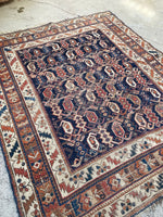 4' x 4'10 Antique square Afshar rug #2163 / 4x5 Vintage Rug - Blue Parakeet Rugs