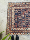 4' x 4'10 Antique square Afshar rug #2163 / 4x5 Vintage Rug - Blue Parakeet Rugs