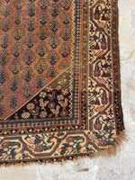 4'6 x 8' Antique Persian Kurdish rug #2169 / 5x8 Vintage Rug - Blue Parakeet Rugs