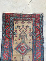 [vintage rugs] - Blue Parakeet Rugs