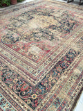[vintage rugs] - Blue Parakeet Rugs