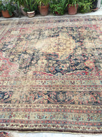 [vintage rugs] - Blue Parakeet Rugs