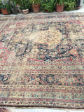 [vintage rugs] - Blue Parakeet Rugs