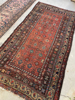 3'9 x 7'9 Antique coral melon ground Kurdish rug #2173 / 4x8 Vintage Rug - Blue Parakeet Rugs