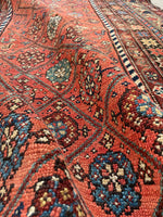 3'9 x 7'9 Antique coral melon ground Kurdish rug #2173 / 4x8 Vintage Rug - Blue Parakeet Rugs