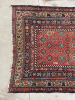 3'9 x 7'9 Antique coral melon ground Kurdish rug #2173 / 4x8 Vintage Rug - Blue Parakeet Rugs