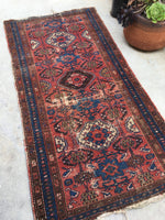 3 x 5'10 Antique Persian Malayer / Small Vintage Rug - Blue Parakeet Rugs