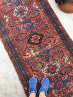 3 x 5'10 Antique Persian Malayer / Small Vintage Rug - Blue Parakeet Rugs