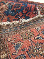 3 x 5'10 Antique Persian Malayer / Small Vintage Rug - Blue Parakeet Rugs