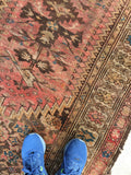 3'7 x 16'6 NW Persian Runner (#622) - Blue Parakeet Rugs