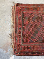 3x6 Antique Persian Baluch rug #2344-A - Blue Parakeet Rugs