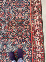 6'1 x 13'1 Antique gallery size Mahal rug #2004 / 6x13 Vintage Rug - Blue Parakeet Rugs