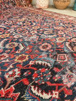 6'1 x 13'1 Antique gallery size Mahal rug #2004 / 6x13 Vintage Rug - Blue Parakeet Rugs