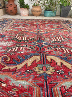 6'9 x 10' Antique Persian Heriz rug #2008 / 7x10 Vintage Rug - Blue Parakeet Rugs