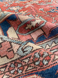 [vintage rugs] - Blue Parakeet Rugs