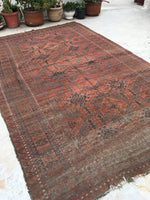 7 x 11'4 nomadic Baluch Rug - Blue Parakeet Rugs