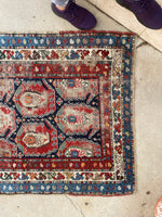 3'5 x 9'7 Antique Caucasian Shirvan rug #2010 / 3x10 Vintage Rug - Blue Parakeet Rugs
