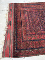 6'7 x 11'10 nomadic Baluch Rug (#640) - Blue Parakeet Rugs