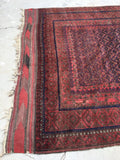 6'7 x 11'10 nomadic Baluch Rug (#640) - Blue Parakeet Rugs