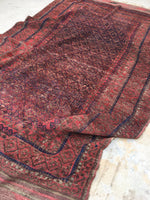 6'7 x 11'10 nomadic Baluch Rug (#640) - Blue Parakeet Rugs