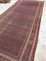 6' x 13'3 Antique Senneh Kurdish Rug / Runner - Blue Parakeet Rugs