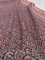 6' x 13'3 Antique Senneh Kurdish Rug / Runner - Blue Parakeet Rugs