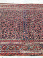 6' x 13'3 Antique Senneh Kurdish Rug / Runner - Blue Parakeet Rugs
